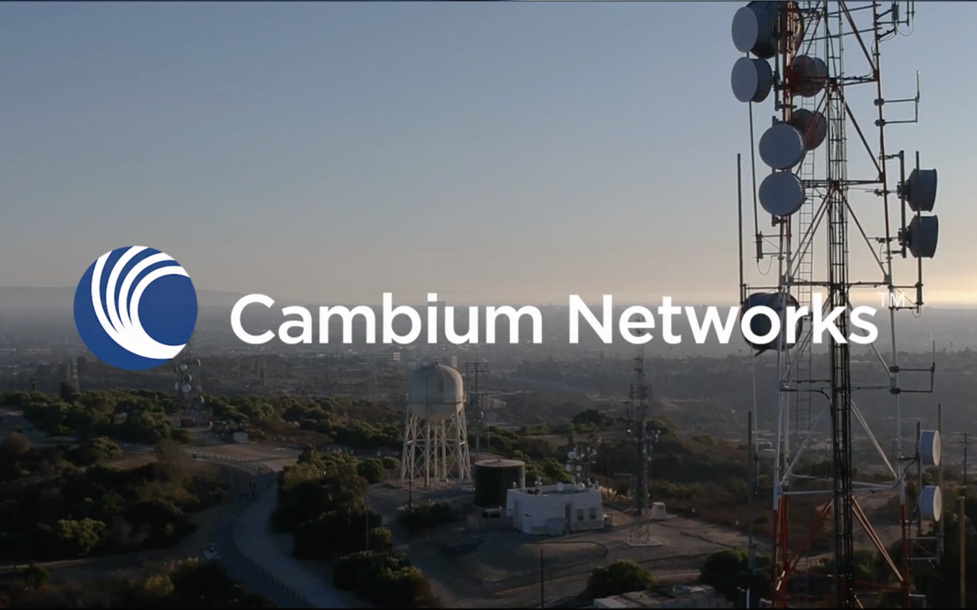 Cambium